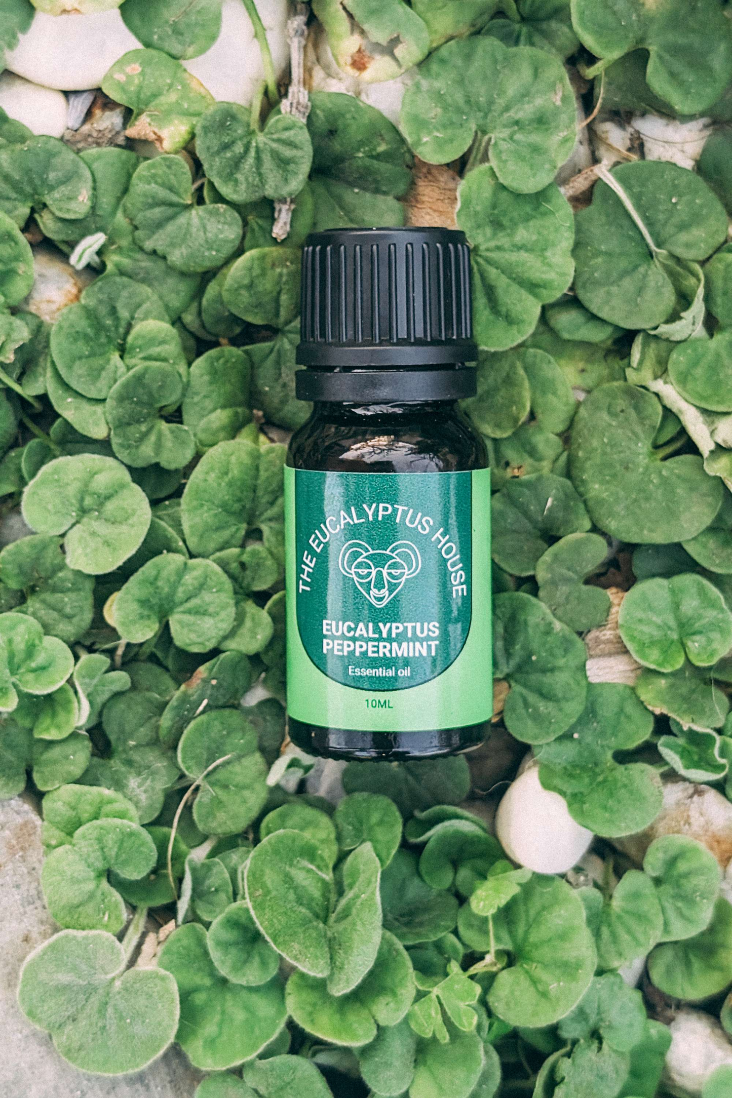 10ml Eucalyptus Peppermint Essential Oil