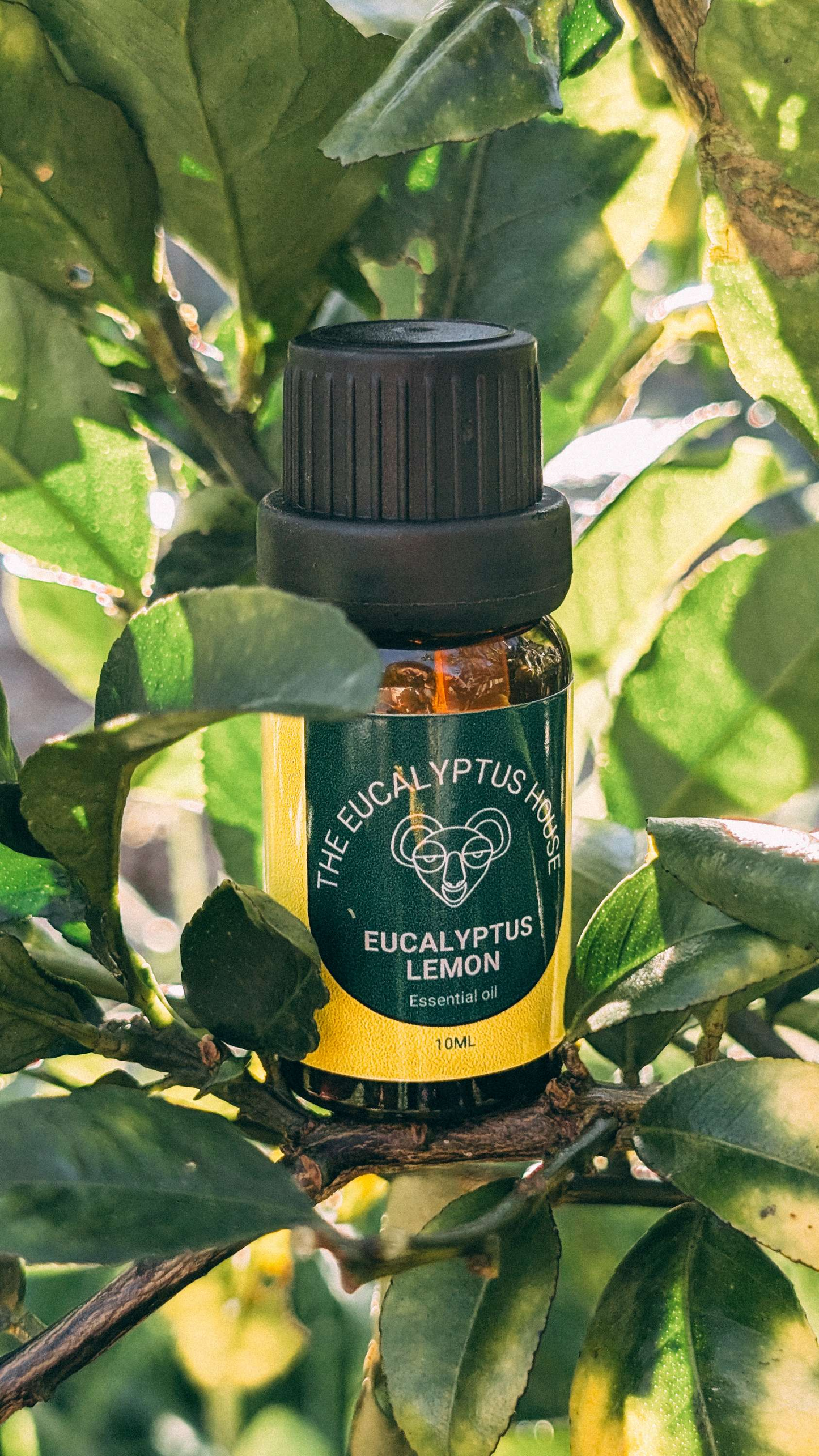 10ml Eucalyptus Lemon Essential Oil