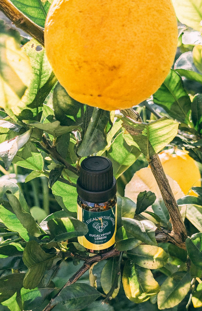 10ml Eucalyptus Lemon Essential Oil