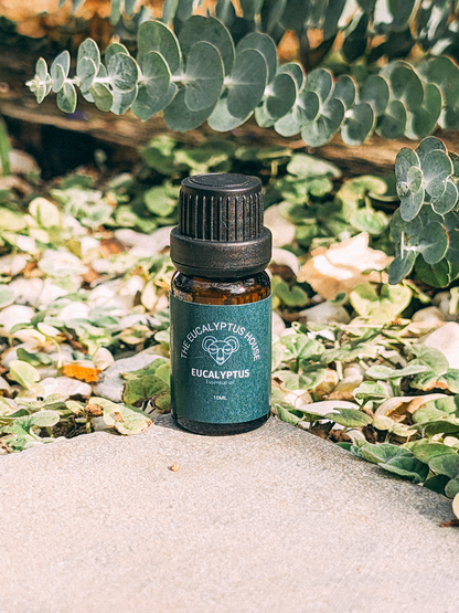 10ml Eucalyptus Original Essential Oil