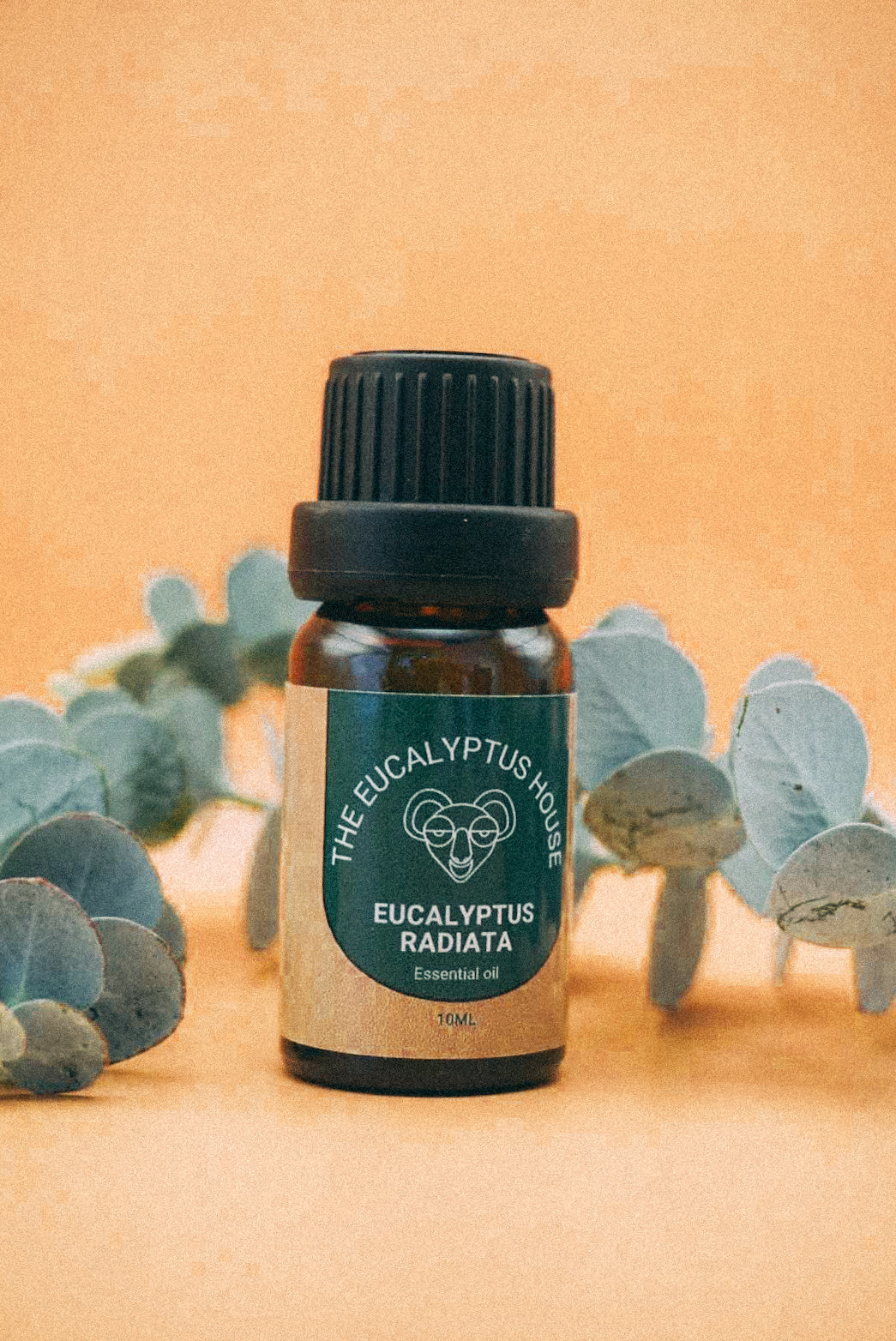 10ml Eucalyptus Radiata Essential Oil